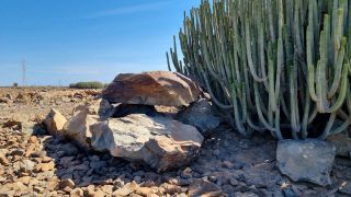 2024-02-GranCan-Playa Del Aguila-Trek-81.jpg